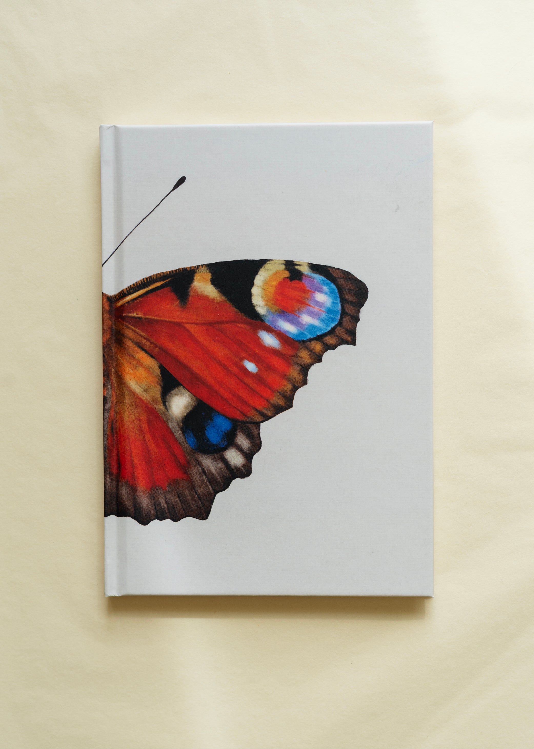 Notesbog — Dagpåfugleøje