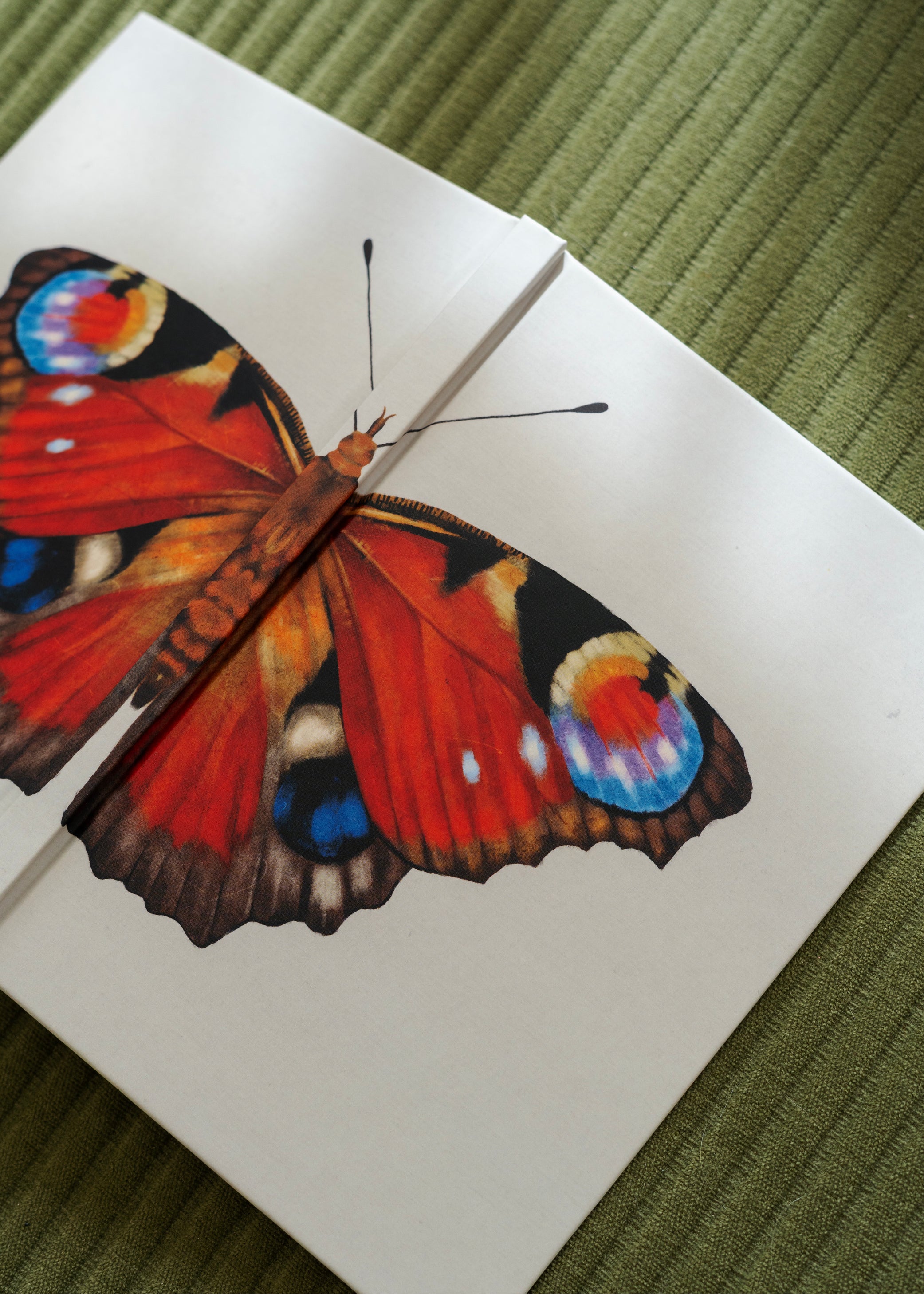 Notesbog — Dagpåfugleøje