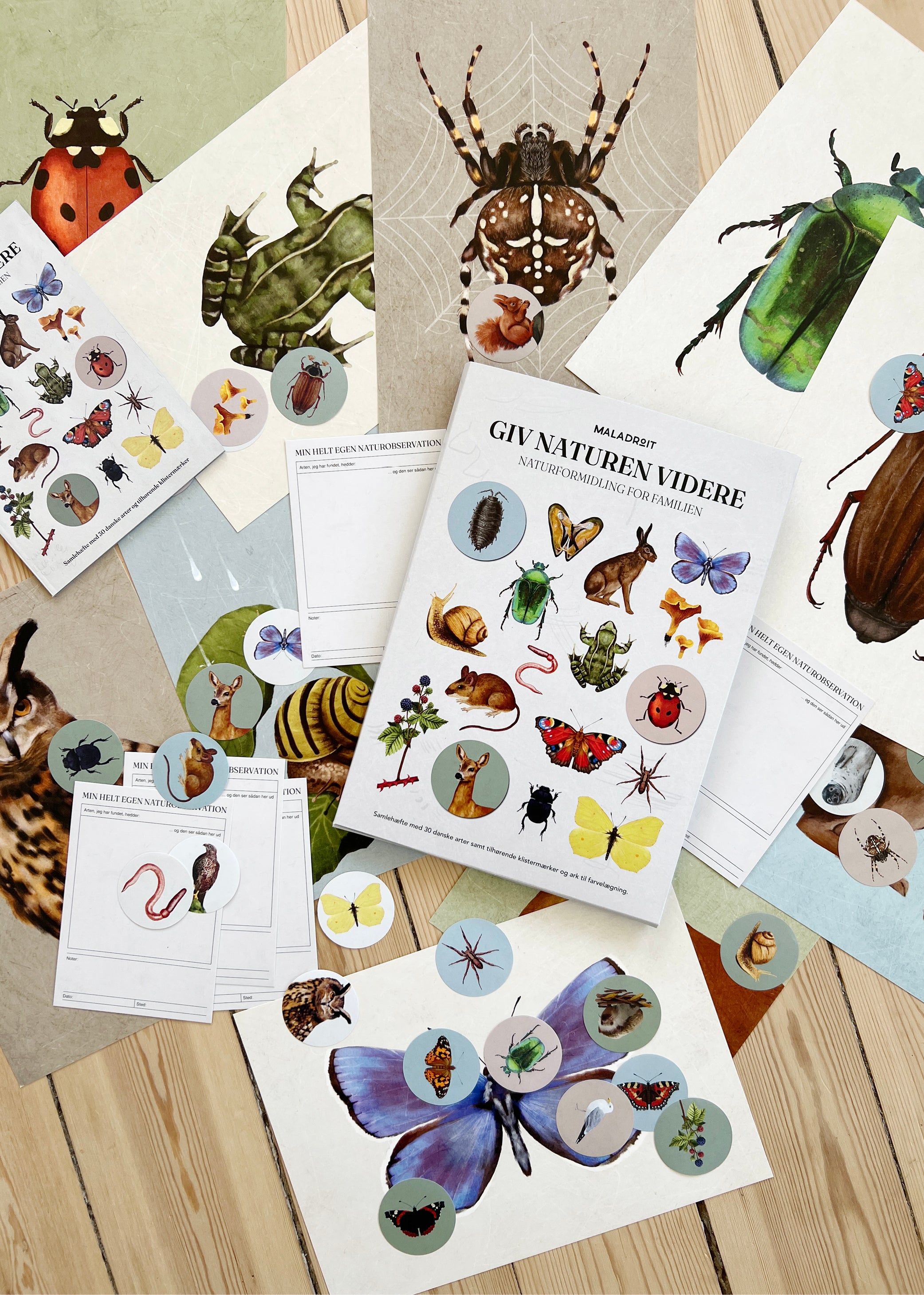 Bestsellers Bogpakken