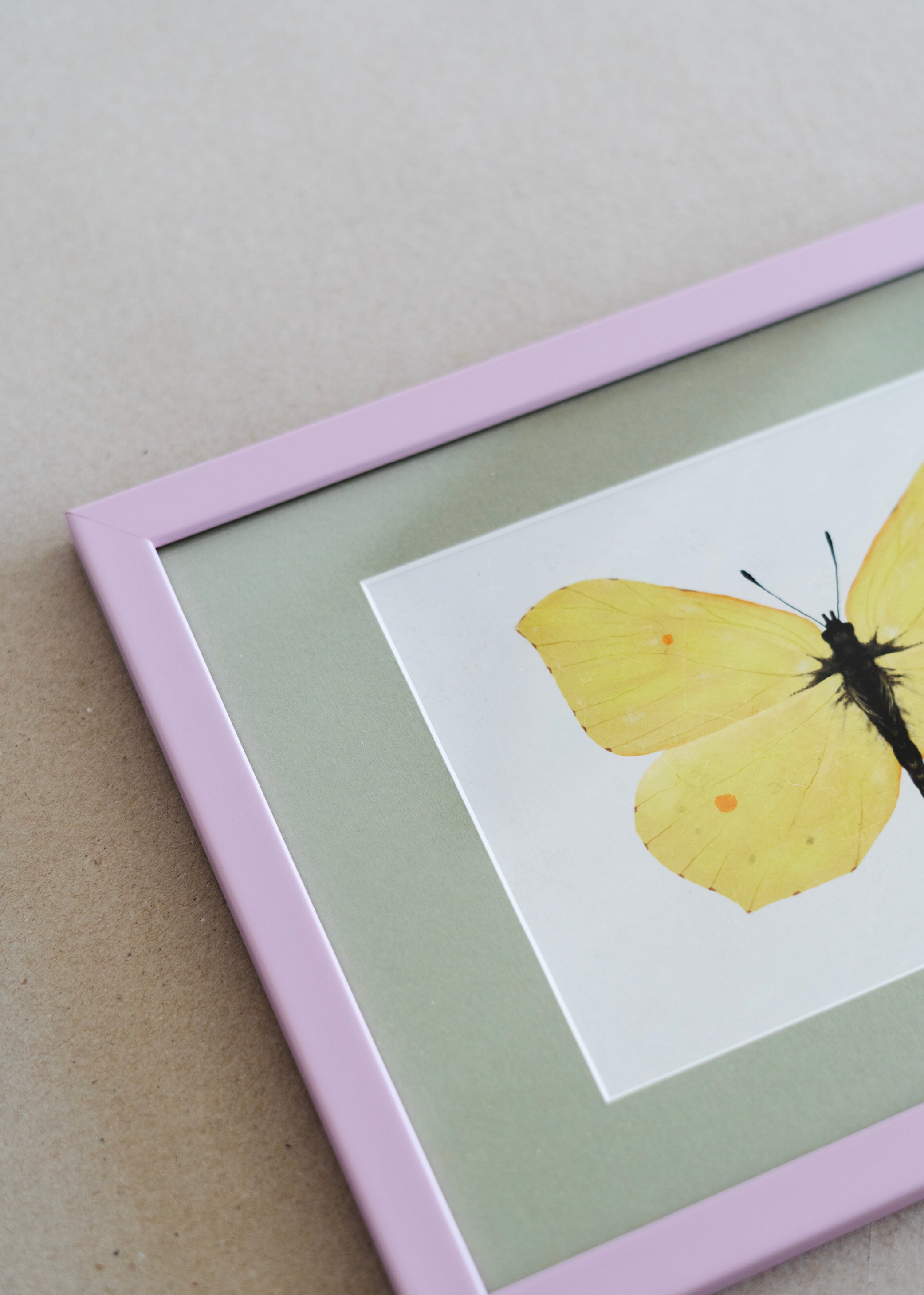 Citronsommerfugl — Indrammet