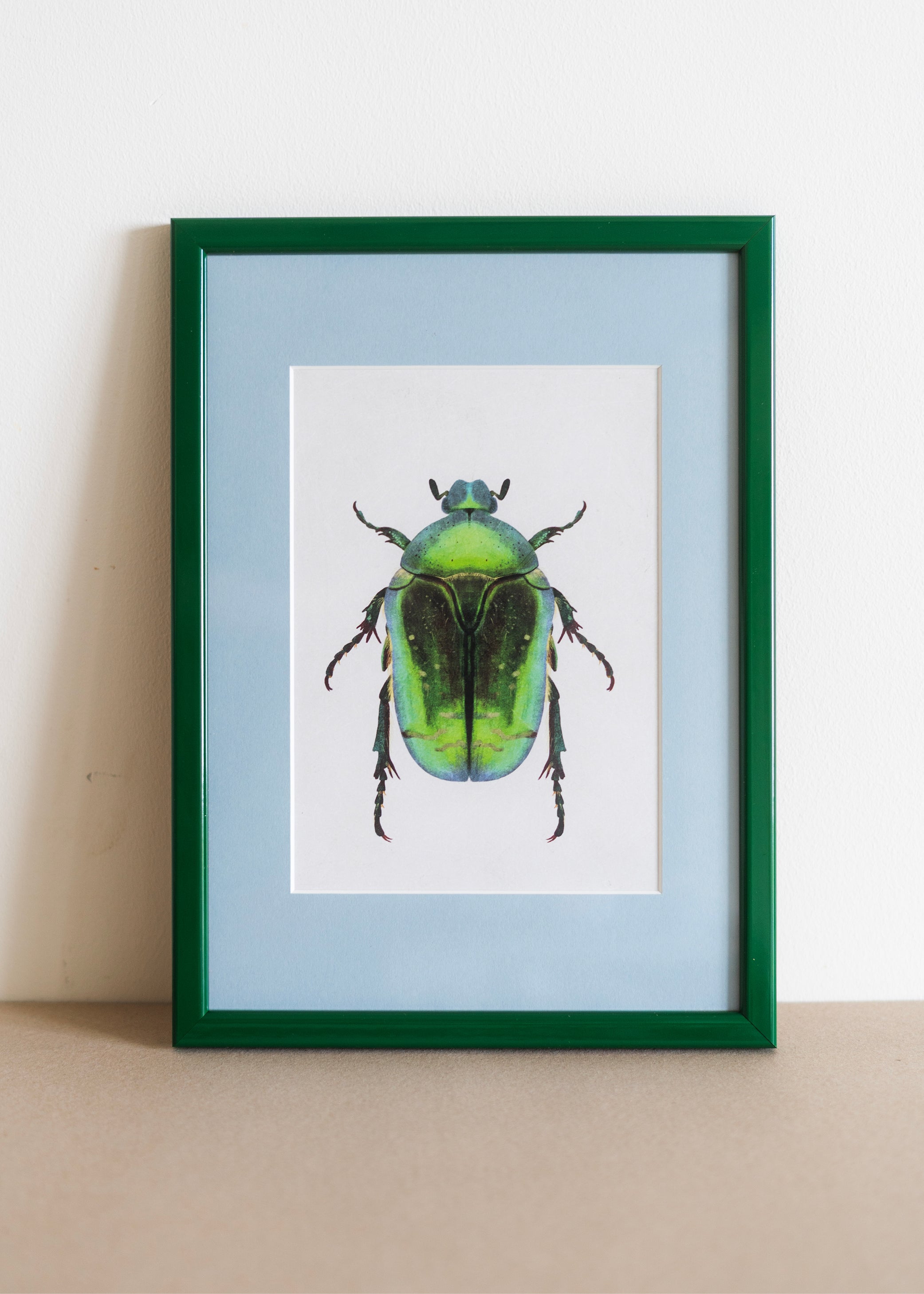 Grøn Guldbasse — Indrammet