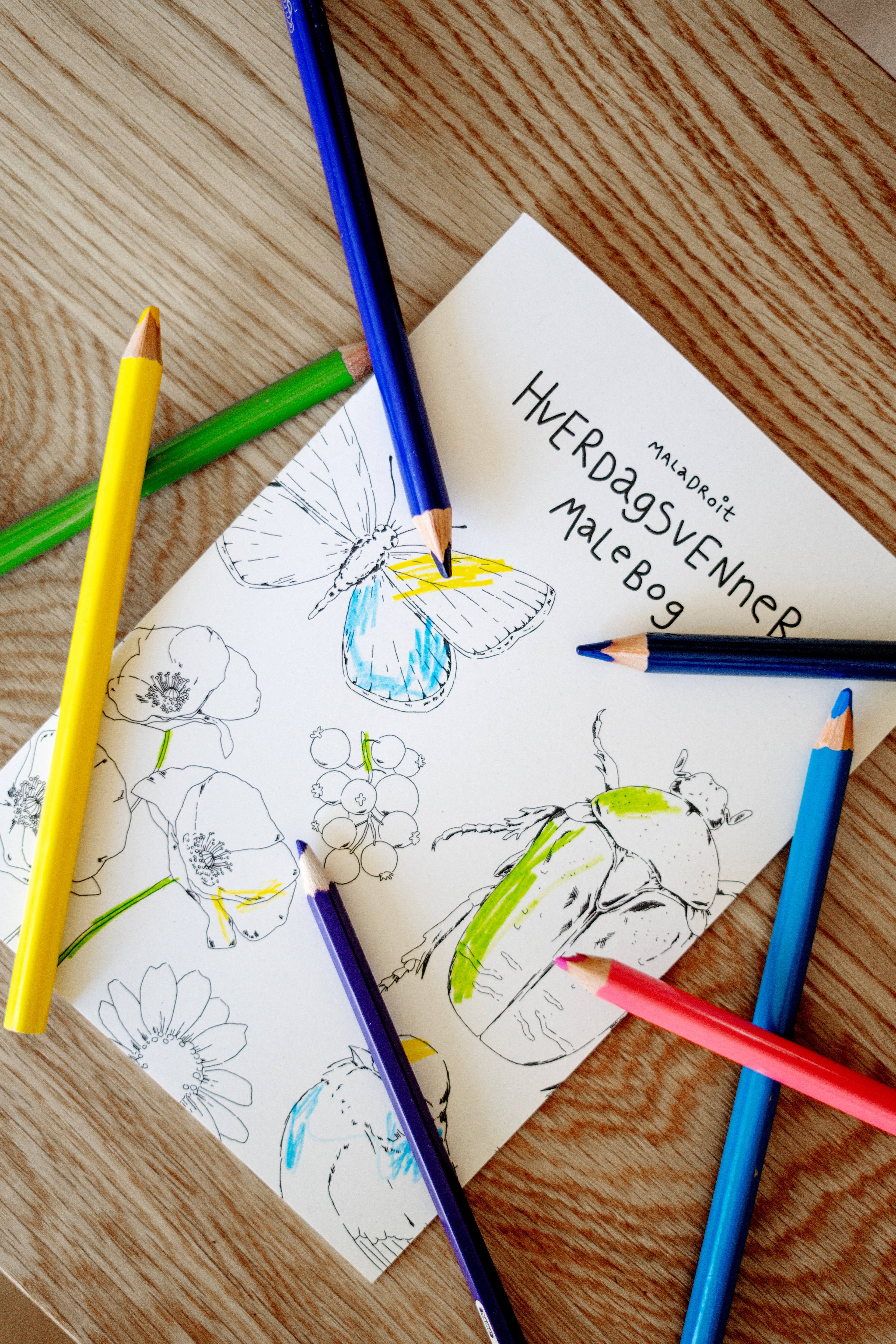 Hverdagsvenner Malebog, 24 sider —  100% genbrugspapir