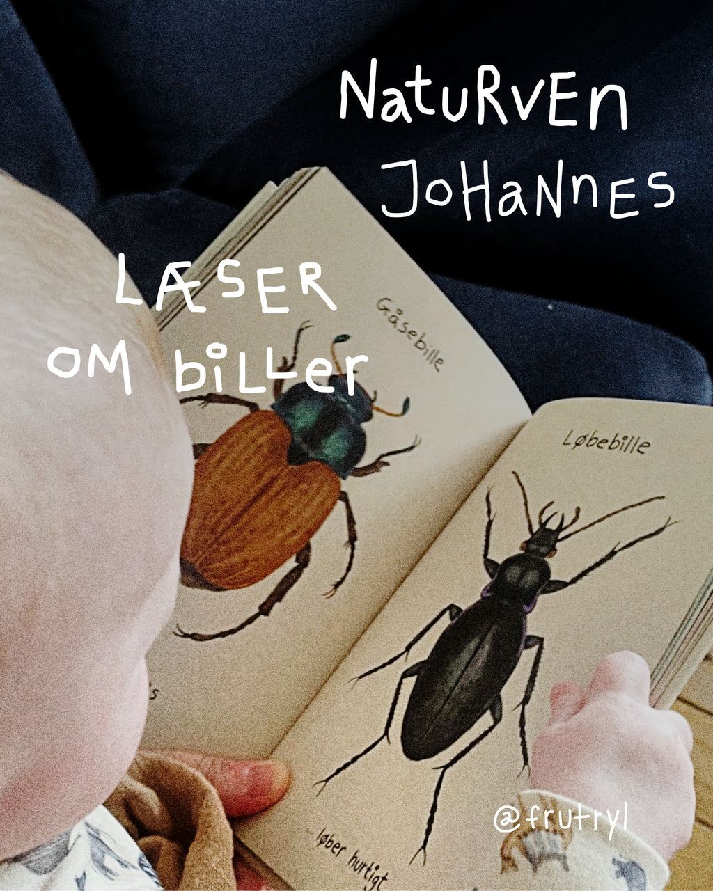 Hverdagsvennerpakken